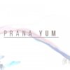Prana-Yum-1080×675