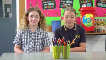 Wellbeing: Acknowledging Positive Behaviour